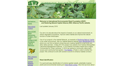 Desktop Screenshot of iewf.org